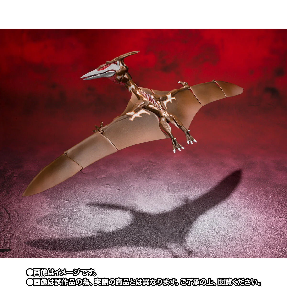 SH MonsterArts Rodan 2021 Second Form - Image 6