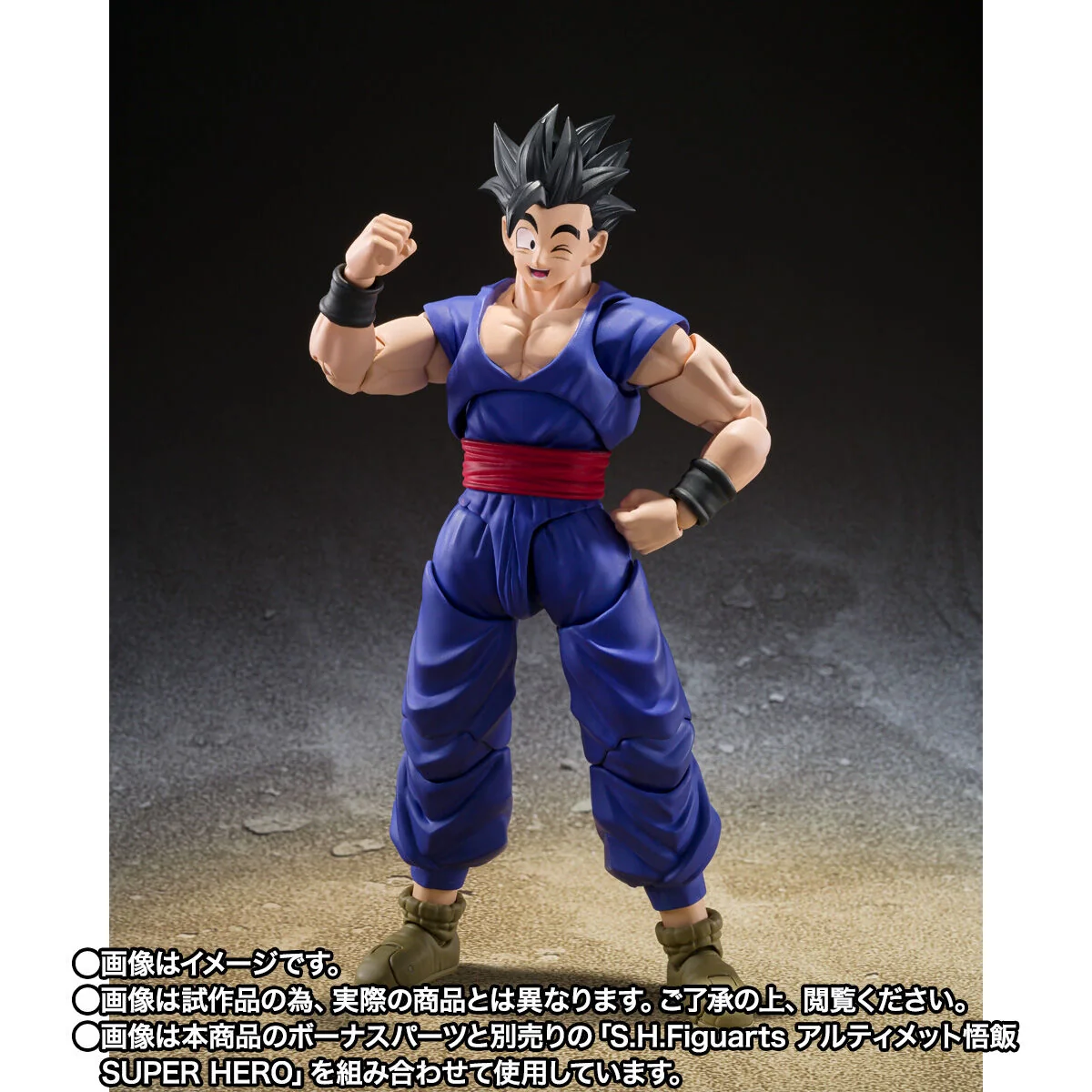 SH Figuarts Pan SUPER HERO - Image 8