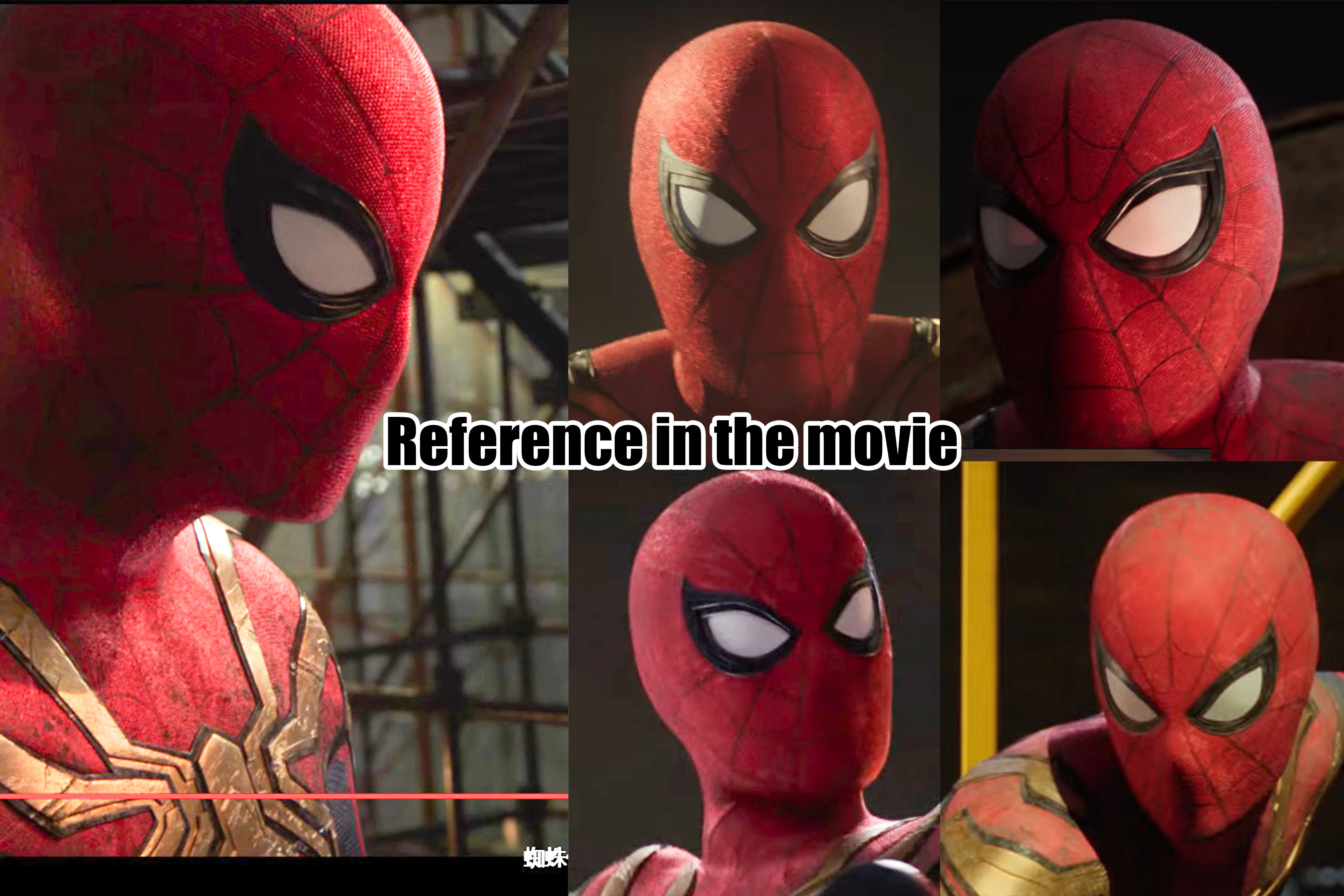Spiderguy Modified Lenses - Image 2